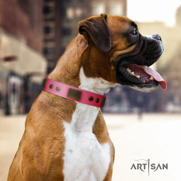 Boxer full grain leather collar with rust resistant adornments