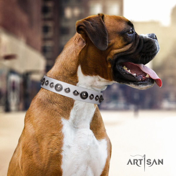 Boxer natural genuine leather collar with durable fittings