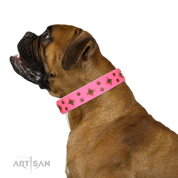 Boxer top notch genuine leather dog collar for fancy walking