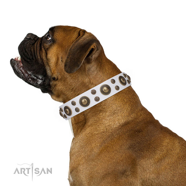 Boxer unique full grain genuine leather dog collar for comfortable wearing