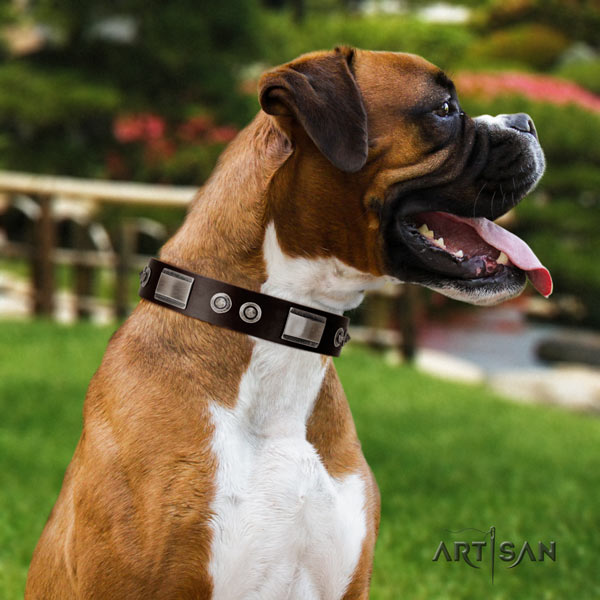 Boxer top notch adorned full grain genuine leather collar