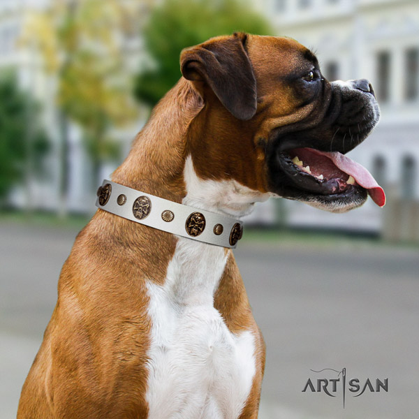 Boxer genuine leather collar with corrosion proof buckle for stylish walking