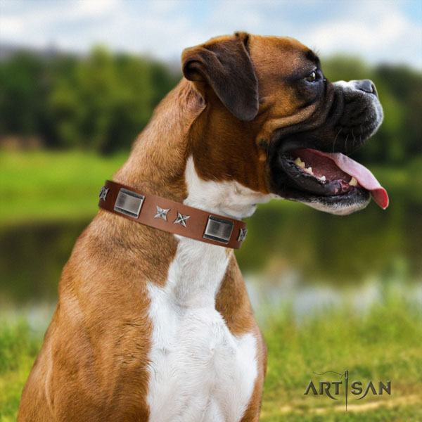 Boxer flexible adorned genuine leather collar