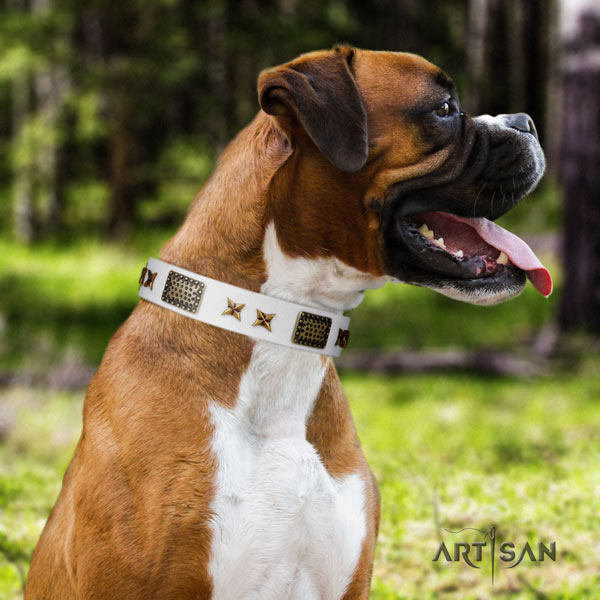 Boxer full grain leather collar with corrosion proof buckle