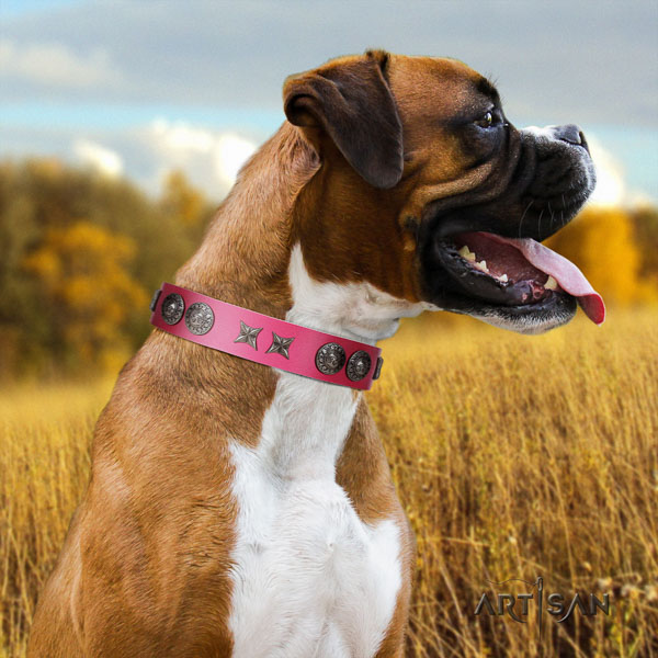 Boxer easy adjustable full grain genuine leather dog collar with embellishments