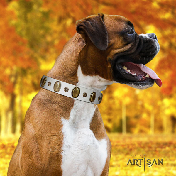 Boxer full grain genuine leather collar with corrosion proof D-ring for everyday use