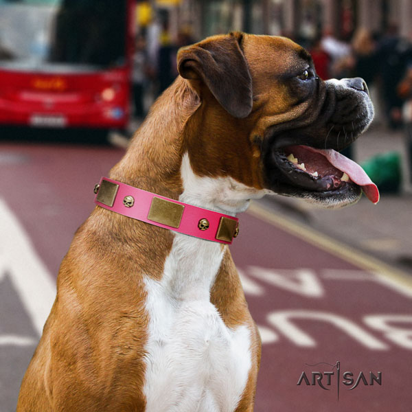 Boxer leather collar with corrosion proof hardware for easy wearing