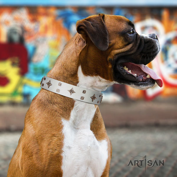 Boxer full grain genuine leather dog collar for daily walking