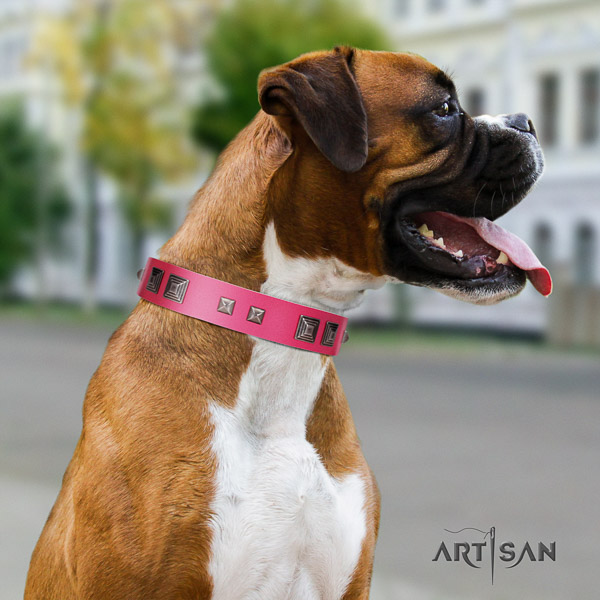 Boxer full grain leather dog collar for handy use
