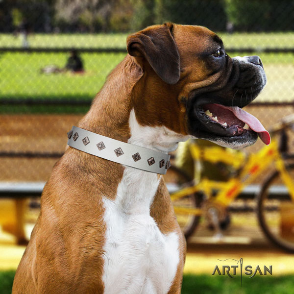 Boxer exceptional leather dog collar with embellishments