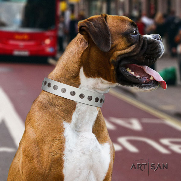 Boxer stylish design leather dog collar with embellishments