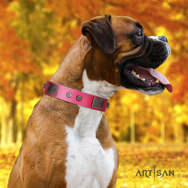 Boxer studded leather dog collar with embellishments