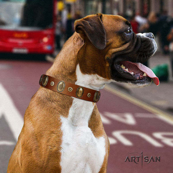 Boxer genuine leather collar with durable traditional buckle for stylish walking