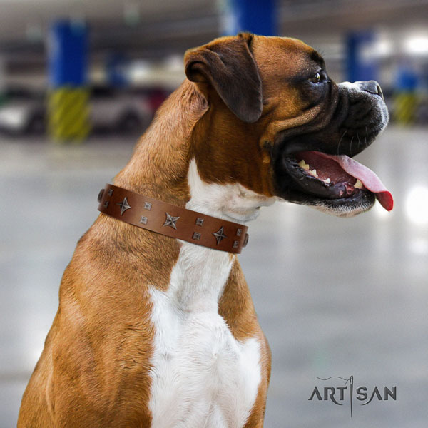 Boxer fine quality genuine leather dog collar with embellishments