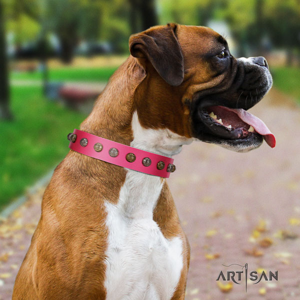 Boxer leather dog collar for comfortable wearing