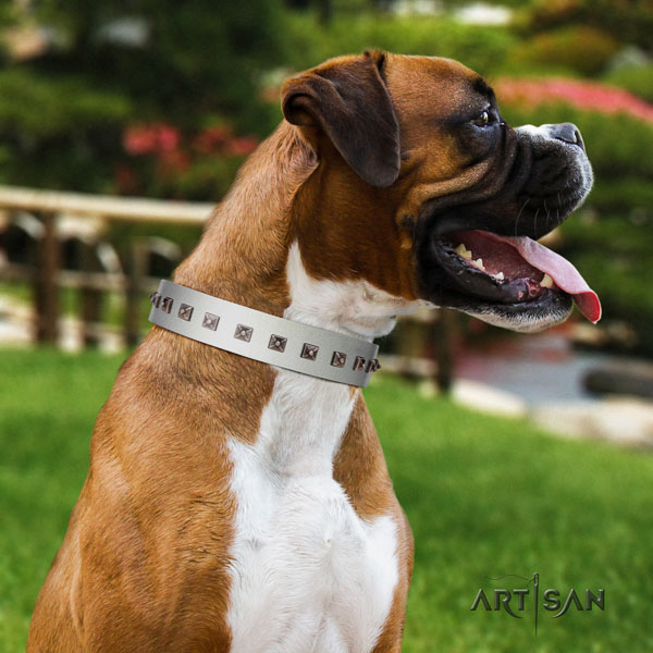 Boxer extraordinary full grain natural leather dog collar with studs