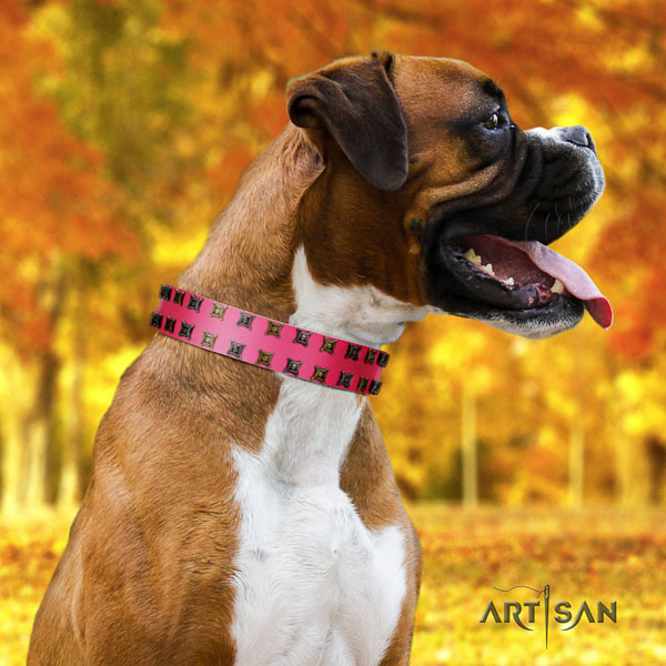 Boxer genuine leather collar with durable traditional buckle for handy use