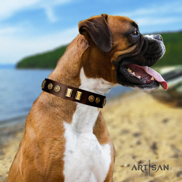 Boxer collar with embellishments