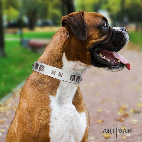 Boxer genuine leather dog collar for walking