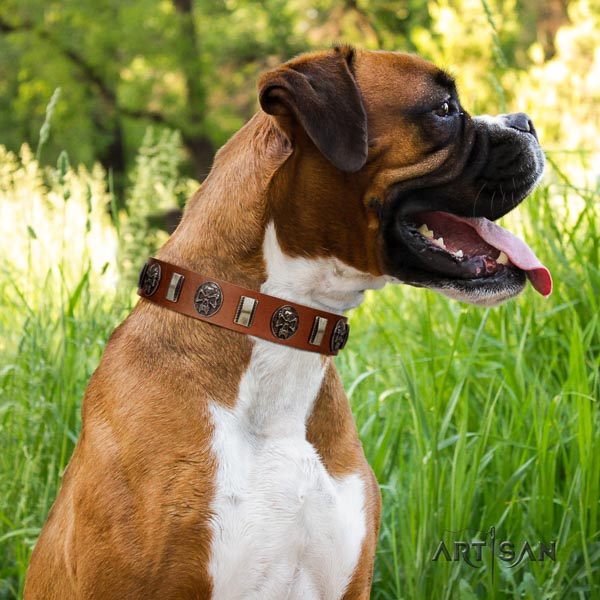Boxer full grain genuine leather collar with corrosion proof hardware for walking
