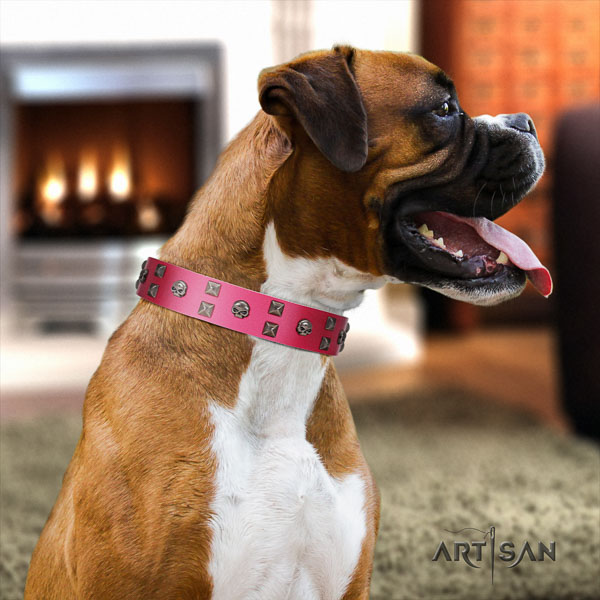 Boxer stylish design full grain leather dog collar with adornments