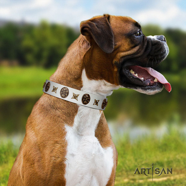 Boxer full grain genuine leather collar with durable D-ring for easy wearing