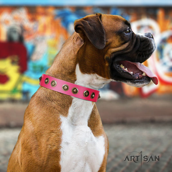 Boxer genuine leather collar with corrosion resistant D-ring for comfortable wearing
