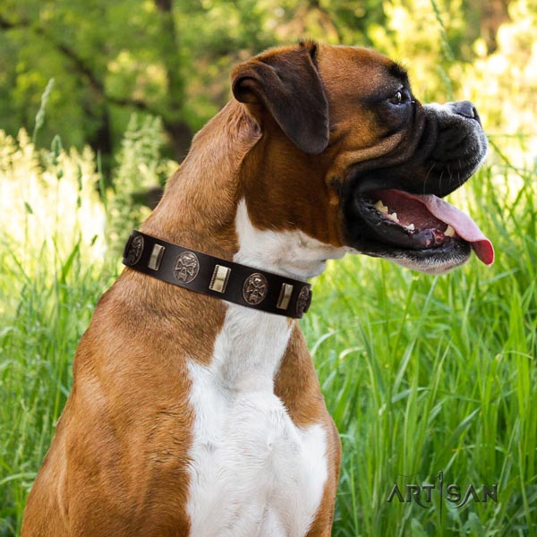 Boxer natural genuine leather collar with rust-proof traditional buckle for comfortable wearing