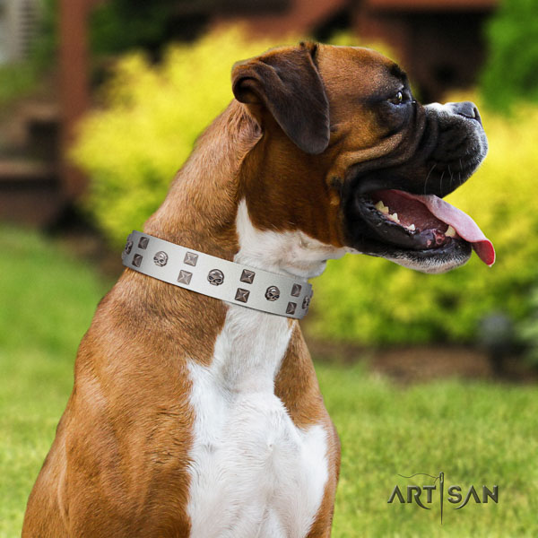 Boxer unusual full grain natural leather dog collar with studs