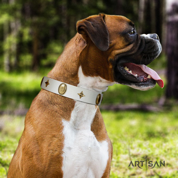Boxer natural genuine leather dog collar for everyday walking