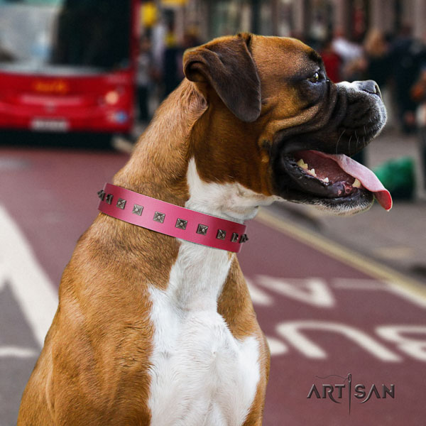 Boxer adjustable full grain leather dog collar with decorations