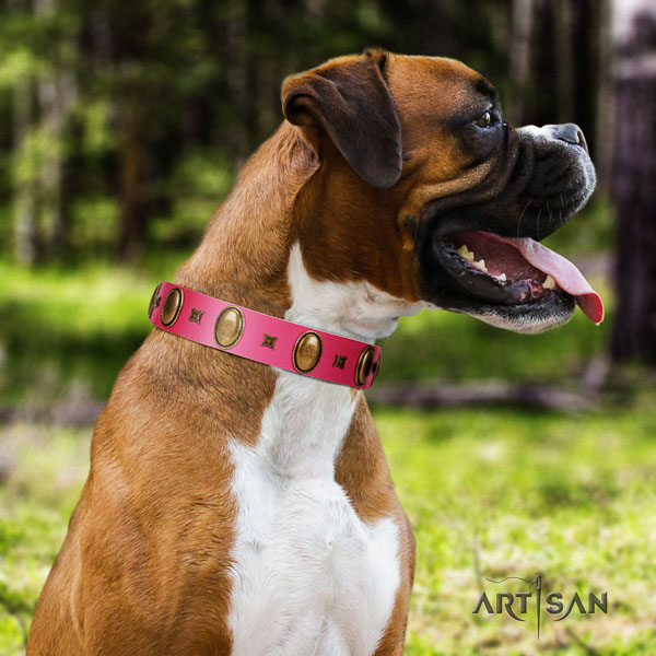 Boxer genuine leather dog collar for basic training