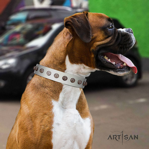 Boxer exquisite full grain leather dog collar with adornments