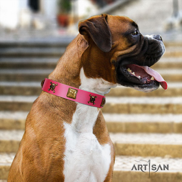 Boxer genuine leather collar with corrosion resistant buckle for stylish walking