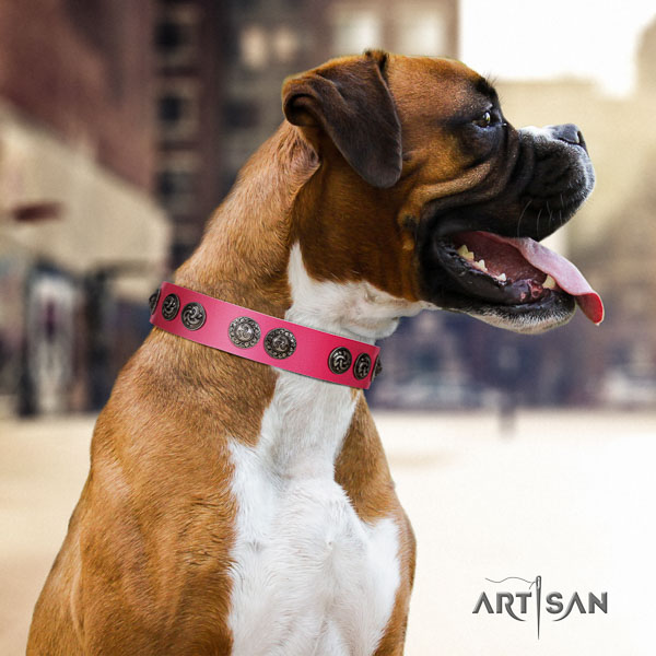 Boxer leather dog collar for daily walking