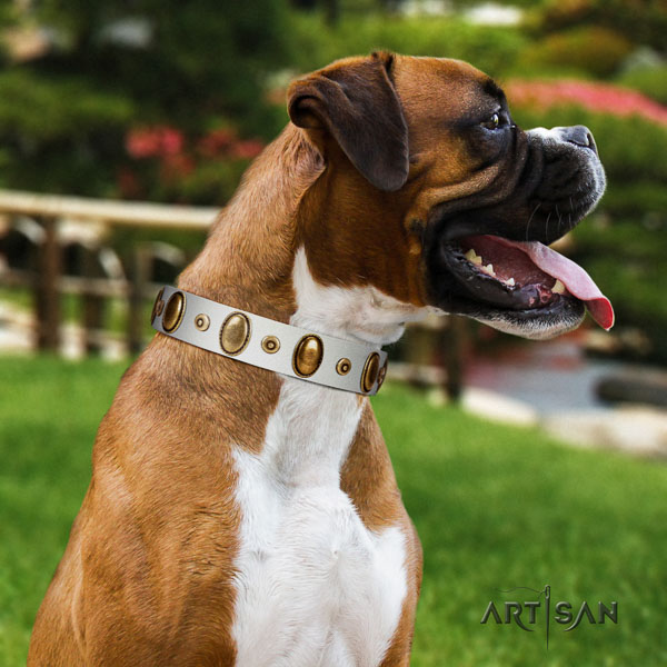 Boxer leather collar with rust-proof D-ring for walking