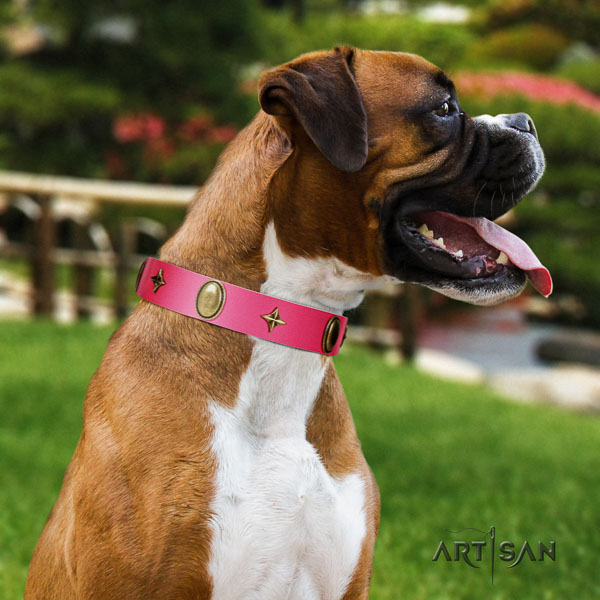Boxer full grain leather dog collar for stylish walking