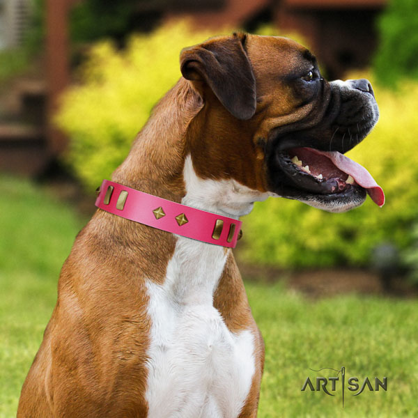 Boxer natural genuine leather collar with rust resistant hardware for fancy walking