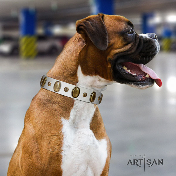 Boxer full grain leather collar with durable buckle for easy wearing