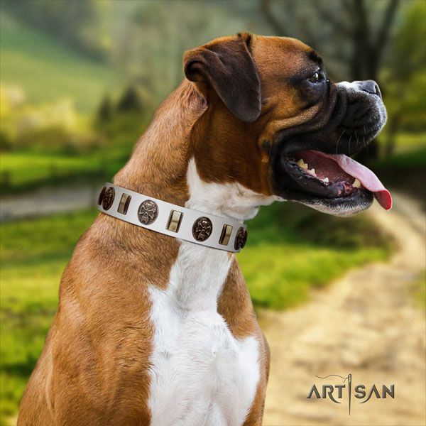 Boxer genuine leather collar with durable fittings for fancy walking