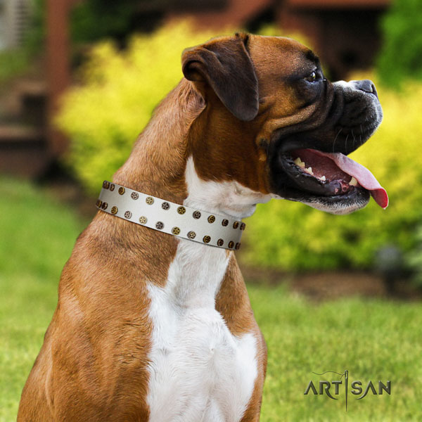 Boxer full grain genuine leather collar with corrosion resistant fittings for comfortable wearing