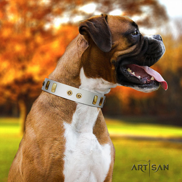 Boxer full grain leather dog collar for basic training