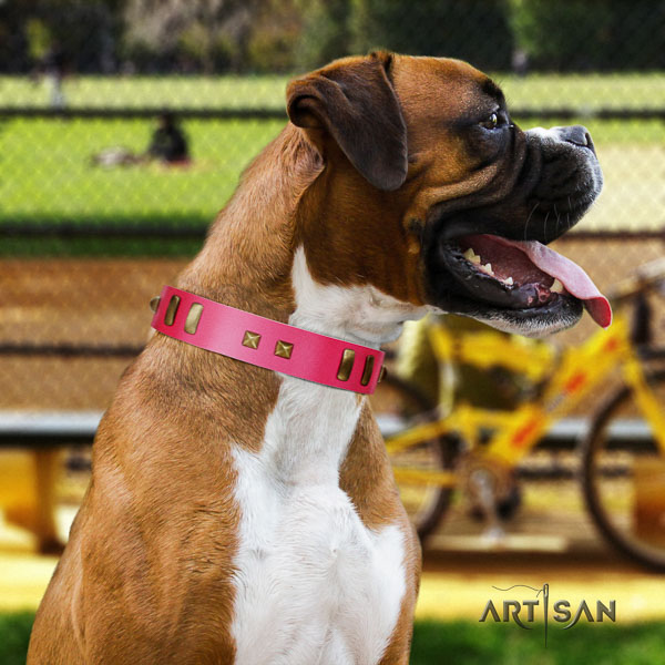 Boxer natural genuine leather collar with rust-proof fittings for stylish walking