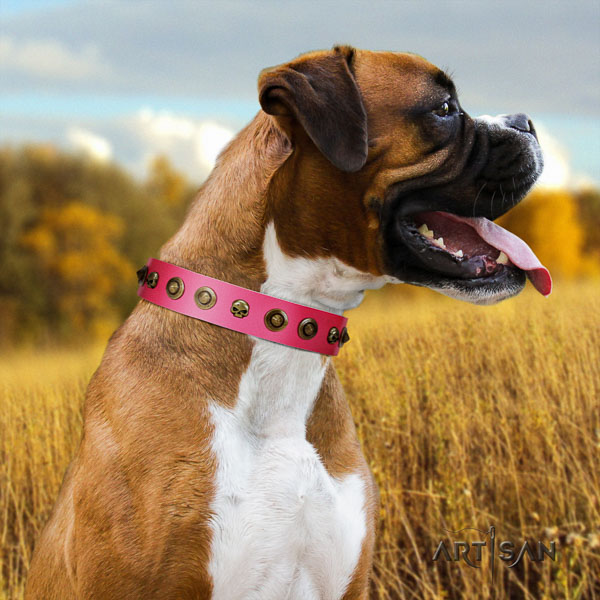 Boxer genuine leather collar with reliable traditional buckle for handy use