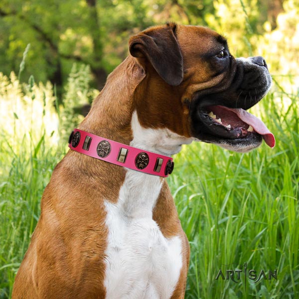 Boxer full grain leather collar with rust resistant buckle for basic training