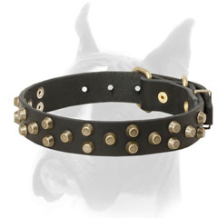 Three symmetrical rows of brass studs for leather Boxer collar