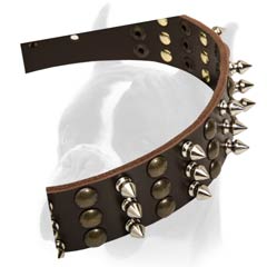 Collar for everyday activities
