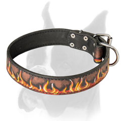 Boxer Dog Leather Collar of Fashion Design