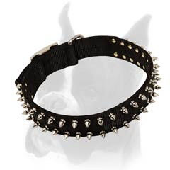 Strong Collar at an Affordable price