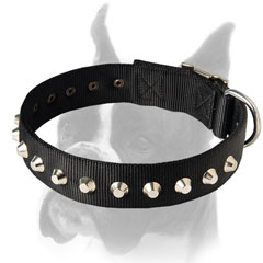Comfortable and Adjustable Nylon Collar